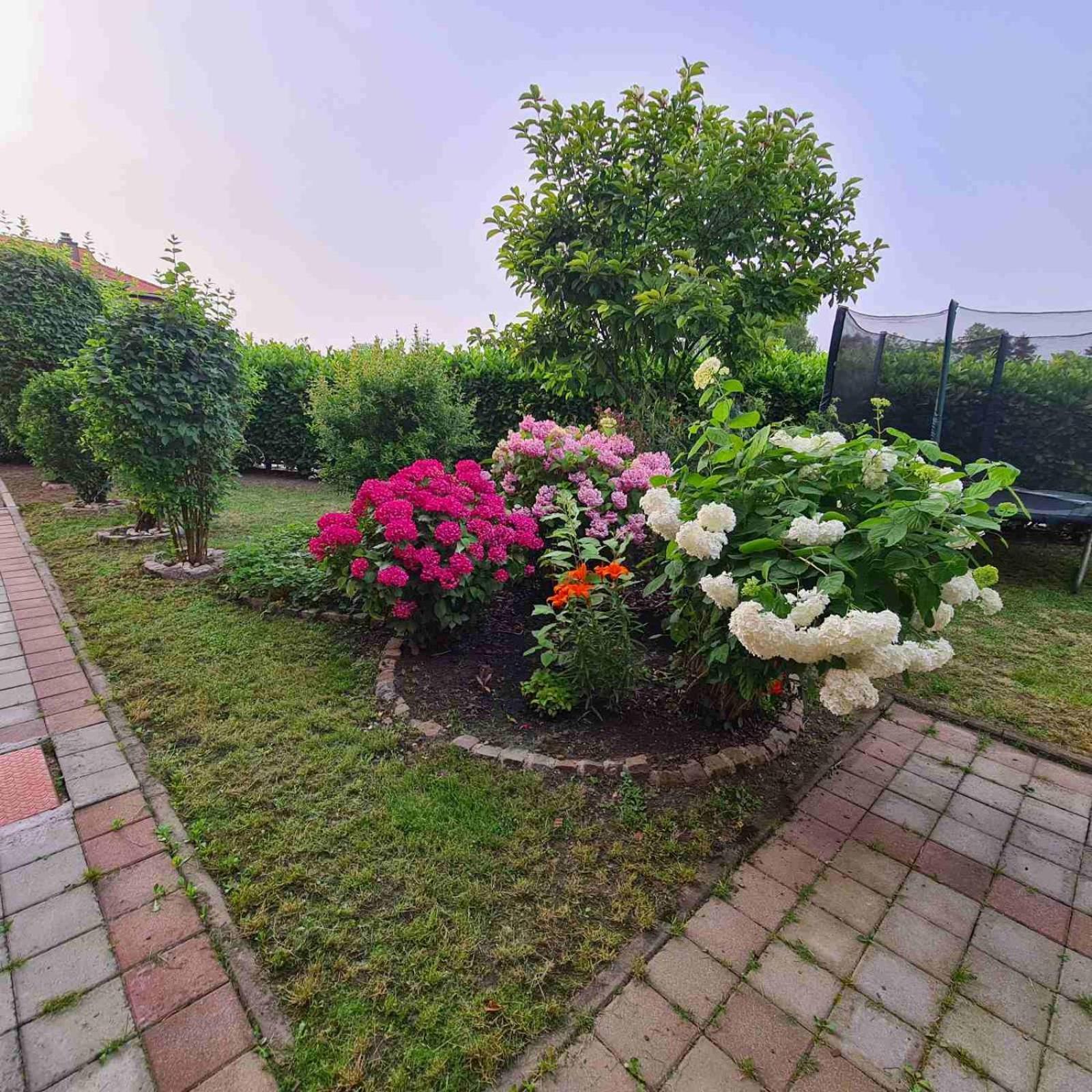 Hana Superior Apartments Bihac Exterior photo