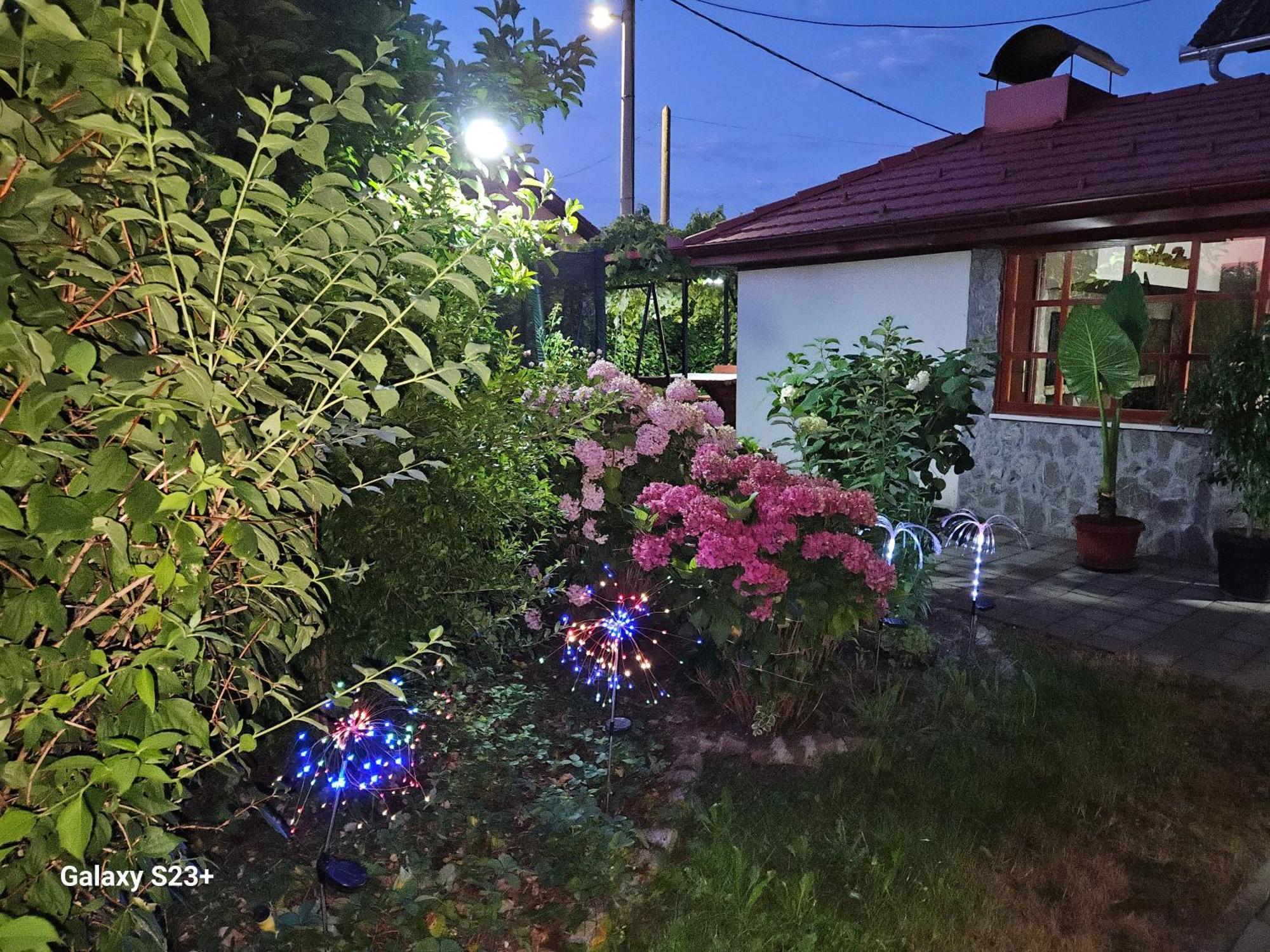 Hana Superior Apartments Bihac Exterior photo
